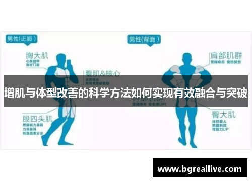 增肌与体型改善的科学方法如何实现有效融合与突破