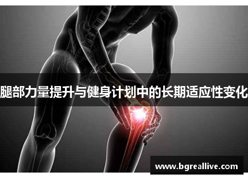 腿部力量提升与健身计划中的长期适应性变化